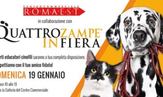 roma est