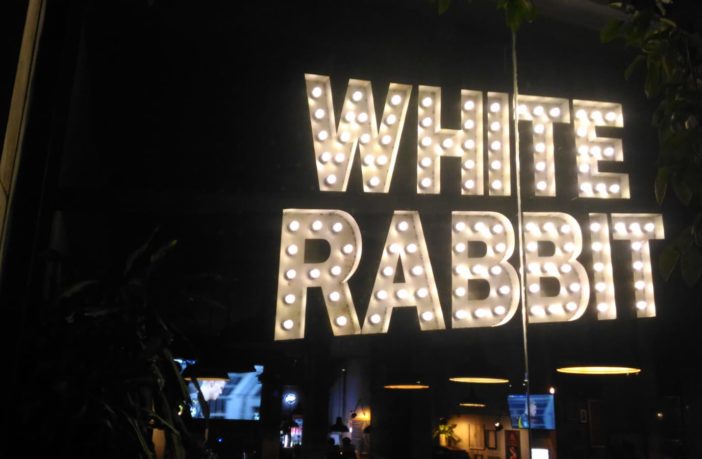 white rabbit