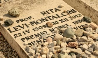 montalcini