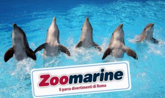 zoomarine