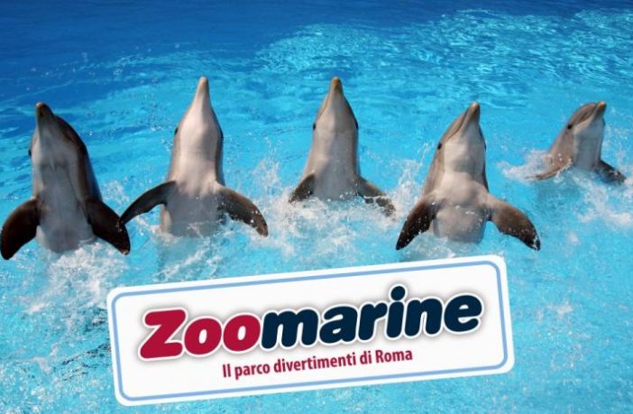 zoomarine