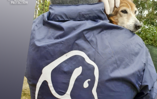 LNDC Animal Protection al servizio della popolazione colpita dal coronavirus lndc