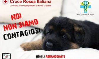 non siamo contagiosi