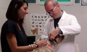 veterinari