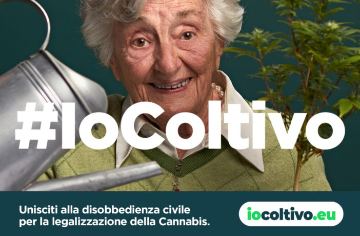 iocoltivo