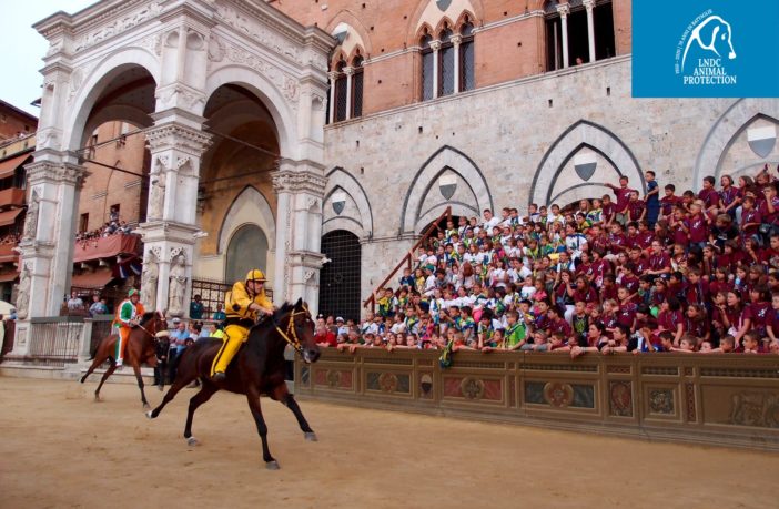 palio