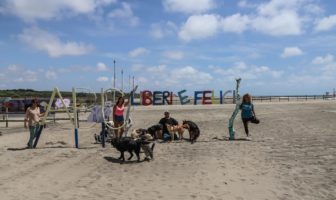 baubeach