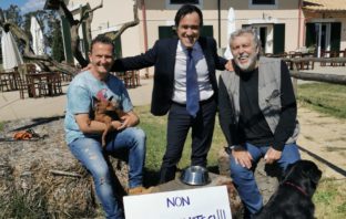 Campagna: non abbadonare gli animali e i loro amici umani artisti con Enzo Salvi, Maurizio Mattioli, Gennaro Calabrese non abbandonateci
