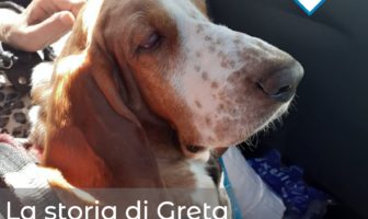 greta
