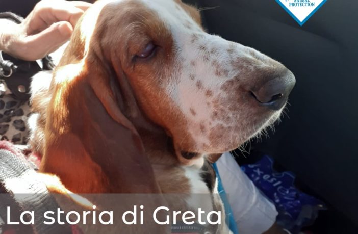 greta