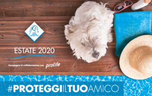 Estate 2020 – Proteggi il tuo amico dal caldo lndc