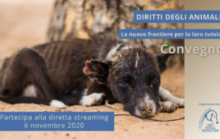 Maltrattamenti e diritti animali lndc