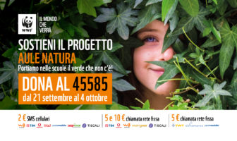 aula natura