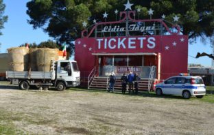 Circo Togni a Capannelle, iniziativa di solidarietà della Polizia Locale togni