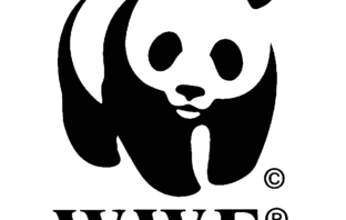 A Natale tante stelle ci mettono il cuore per salvare le specie in pericolo insieme al WWF wwf