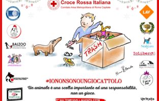 “Io non sono un giocattolo” Croce Rossa Roma in favore degli animali con Pet Carpet Film Festival e tante associazioni croce rossa