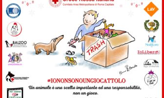 croce rossa