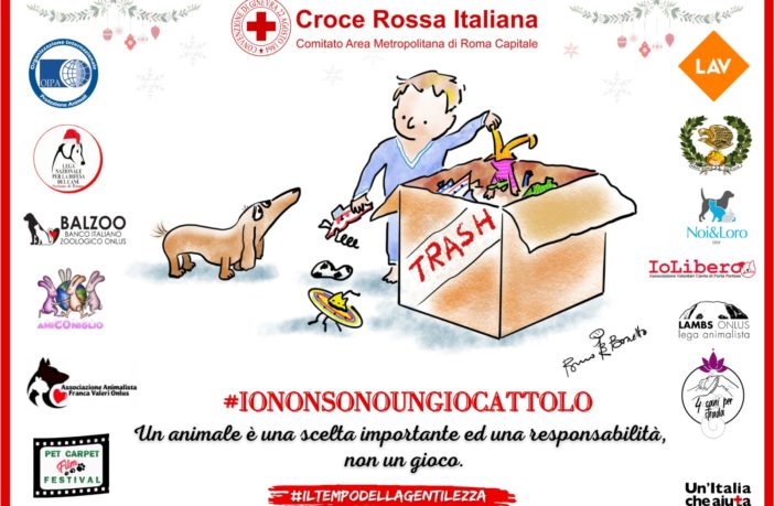 croce rossa