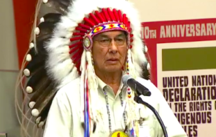 Covid-19: la Casa Dinastica del Rio de la Plata lancia l’allarme per le popolazioni indigene. indigeni