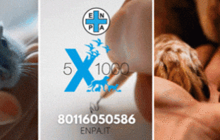 ENPA: abbiamo bisogno del Vostro aiuto con il 5×1000 enpa