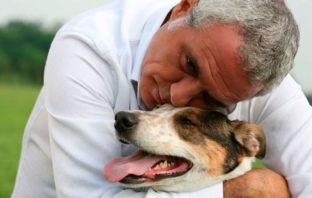 L’Italia vip che aiuta gli animali in difficoltà: da Wertmuller, Mennoia e de Grenet, tutti in campo per LNDC Animal Protection panariello