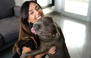Roma, cani & TV – Pitbull, liberiamolo dai pregiudizi: parte la campagna LNDC Animal Protection con Raffaella Mennoia pitbull