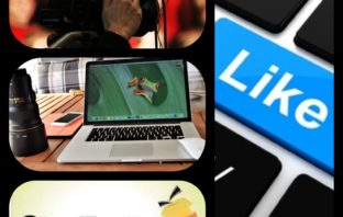 Al via le votazioni online per aggiudicare i premi speciali del concorso Cinefrutta cinefrutta