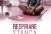 stanca