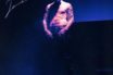 achille lauro