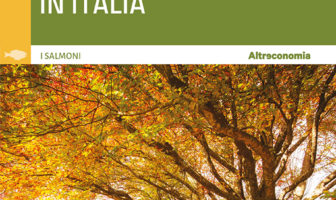 foreste