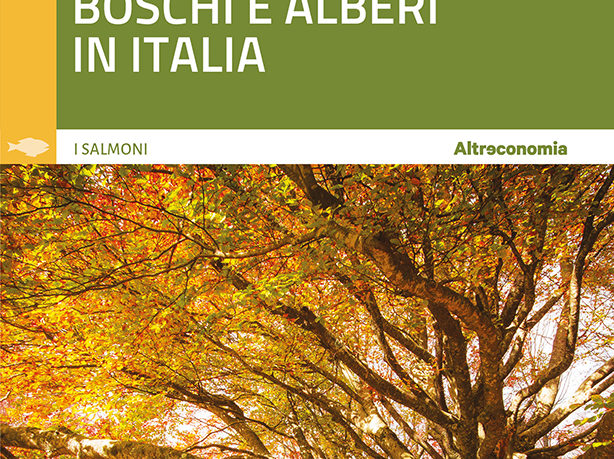 foreste