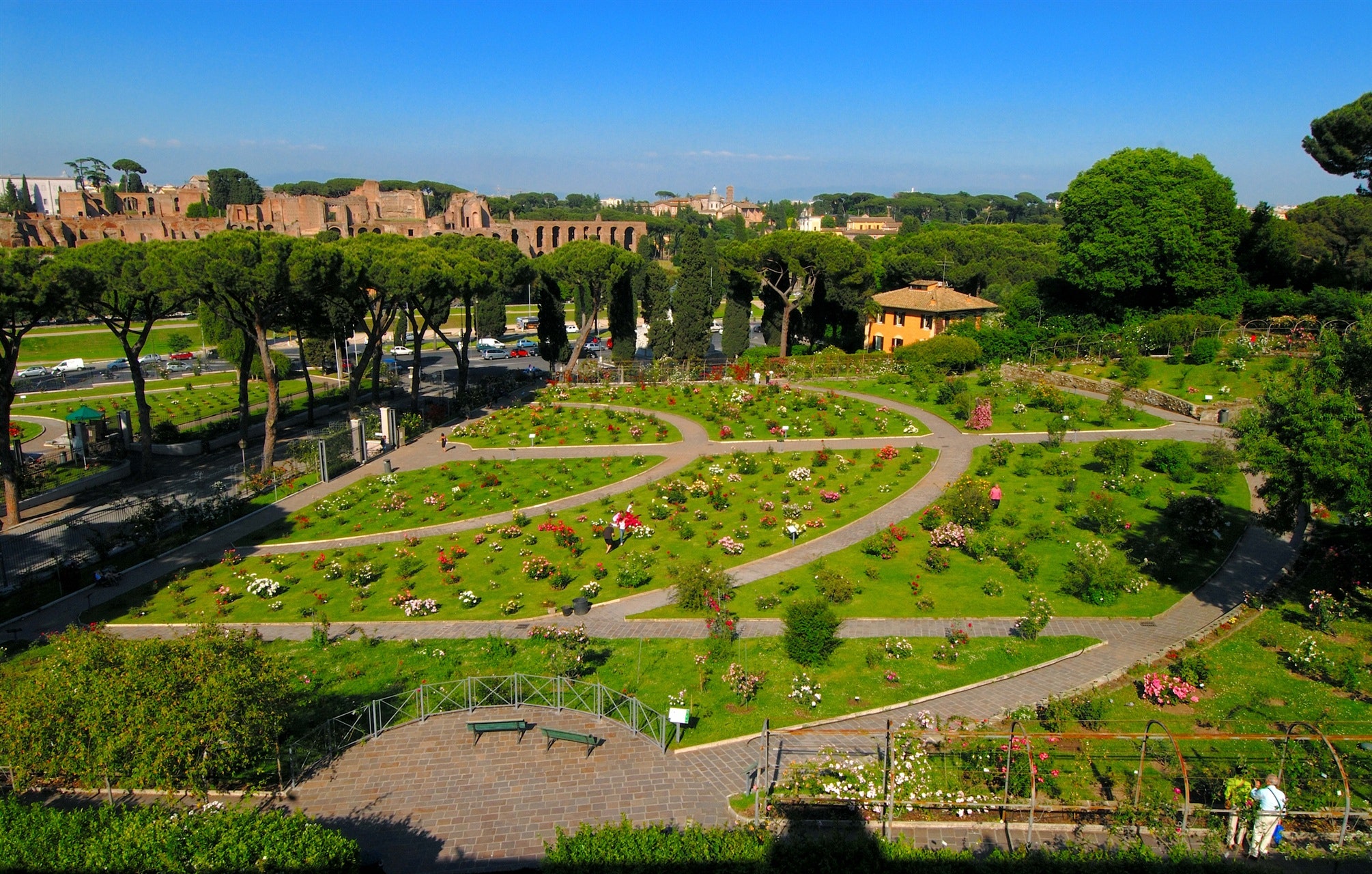 Il Roseto Comunale Di Roma Viviroma