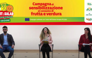 Fruit and Salad Smart Games approda di nuovo in tv fruit salad