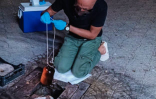 Sorprese a sversare liquidi pericolosi e altamente inquinanti nei tombini, 5 persone denunciate dalla Polizia Locale tombino