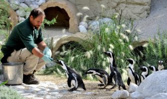 bioparco