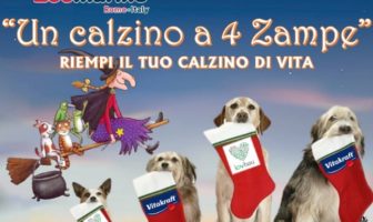 zoomarine