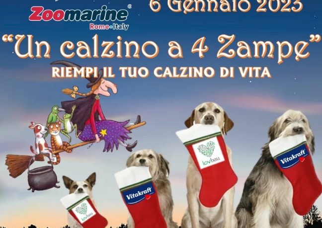 zoomarine