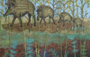 I cinghiali sono protagonisti a Roma di una mostra surreale e selvatica: PASQUALE GADALETA “IL SOGNO DEL CINGHIALE” a Casa Vuota Pasquale Gadaleta, Il sogno del cinghiale a Casa Vuota