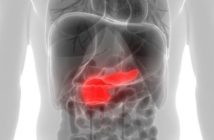 pancreas