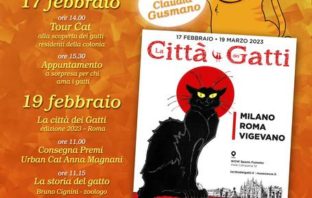 festa del gatto