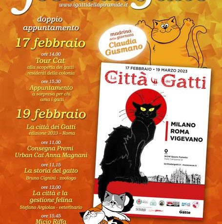 festa del gatto