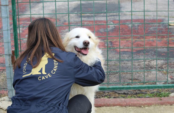 C.Muzzini per Fondazione CAVE CANEM