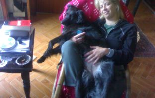 Esce in libreria “Baffi d’argento – Manuale per migliorare la vecchiaia dei cani” scritto dalla giornalista Daniela Pozone baffi d'argento