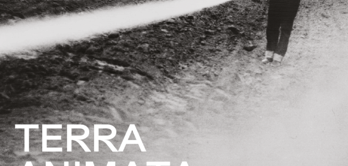 Mattatoio Roma: Terra animata, visioni tra arte e natura in Italia (1964-2023)
