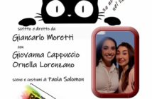 gatto