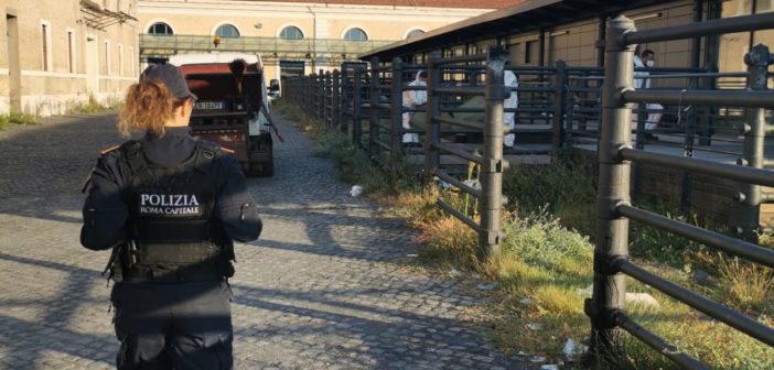 Sgomberato ex Mattatoio da parte della Polizia di Roma Capitale