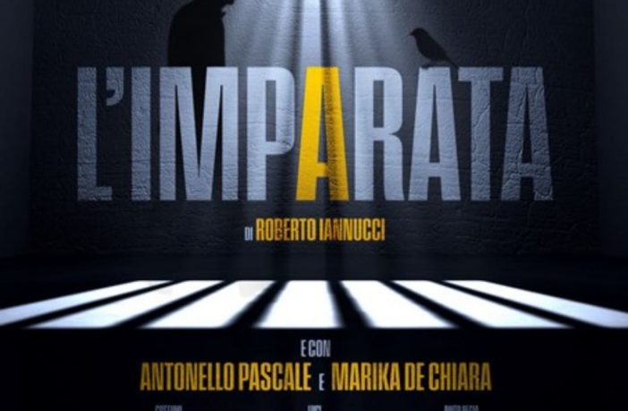 imparata