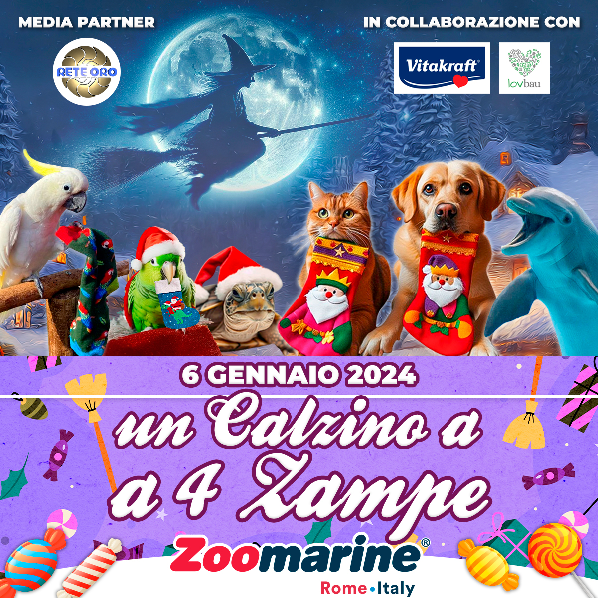 zoomarine