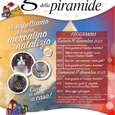 i gatti della piramide