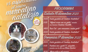 i gatti della piramide